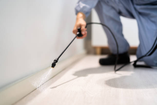 Licensed Termite Control service in Evendale, OH - Nex Pest Control