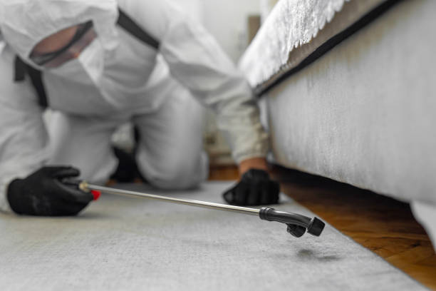 Professional Termite Control technician working in Evendale, OH