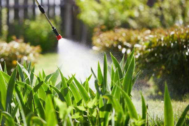 24/7 Emergency Termite Control experts in Evendale, OH