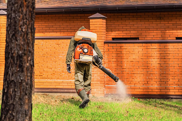 Top rated local Termite Control specialists in Evendale, OH